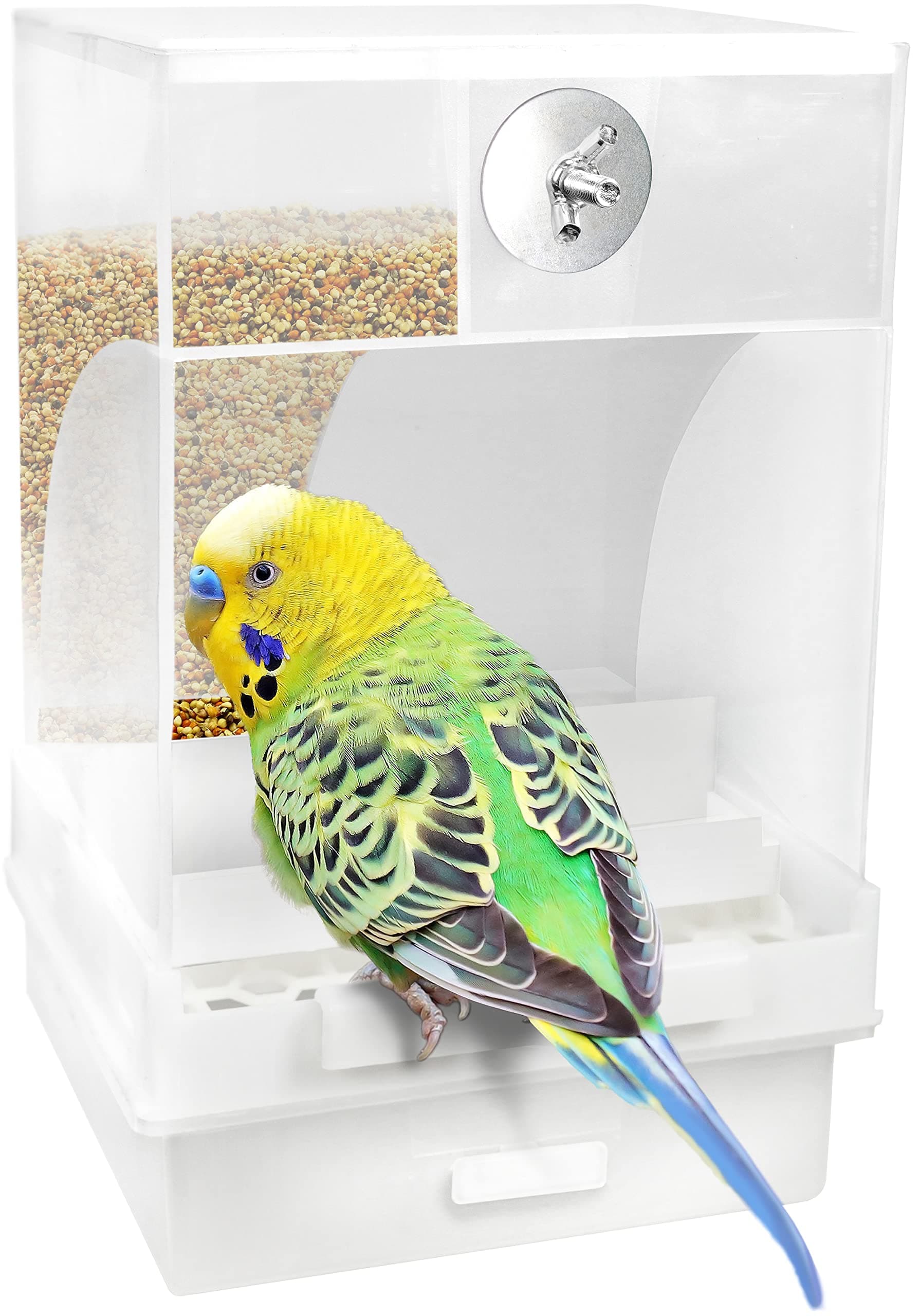 Parrot Automatic Feeder,No-Mess Bird Feeder,Cage Accessories for Budgerigar Canary Cockatiel Finch Parakeet Seed Food Container by Old Tjikko (Large-Capacity-Screw-Fixed Bird Feeder)