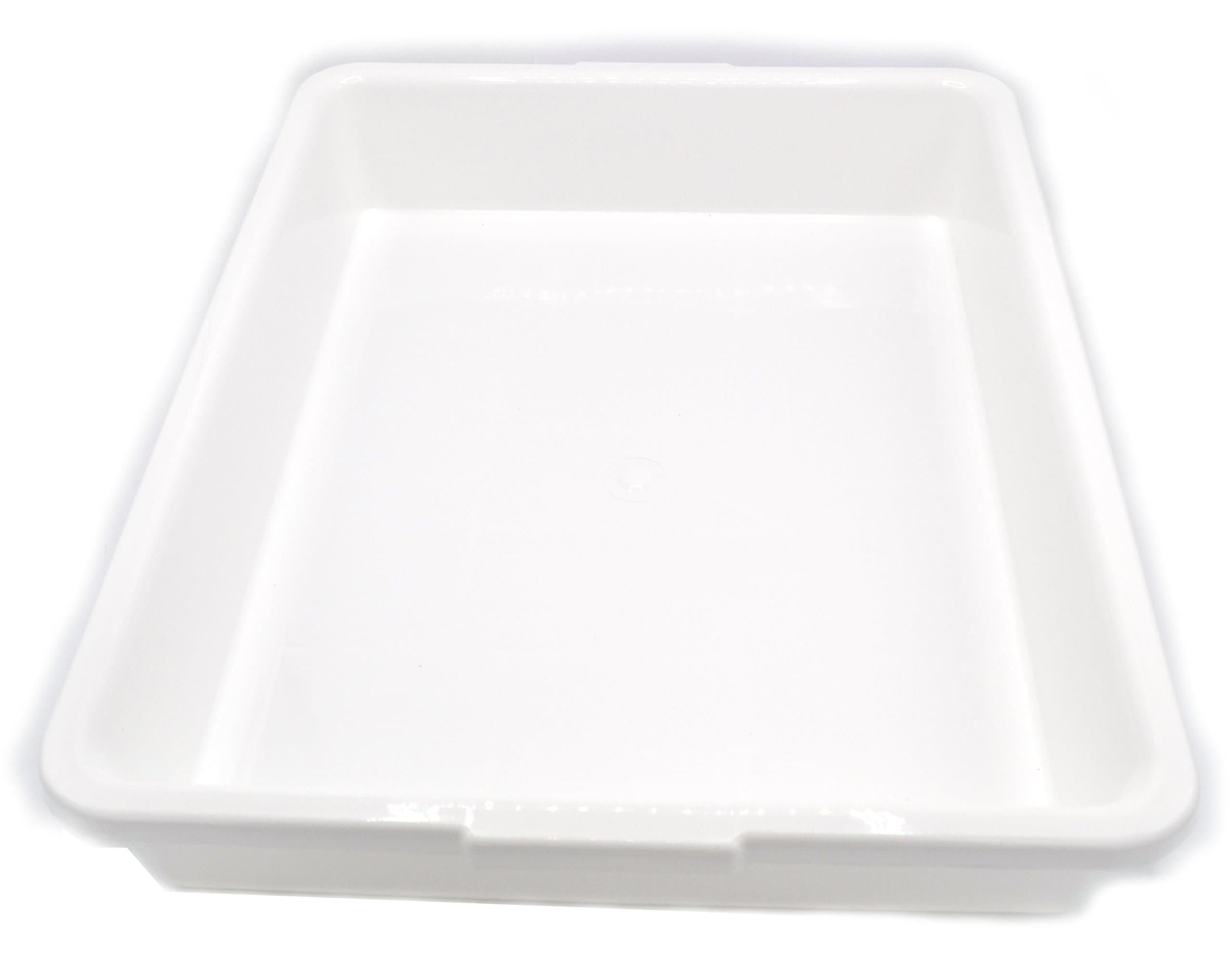 EISCO Laboratory Tray - 17.5 x 13.5 x 3 Inches - Polypropylene Plastic
