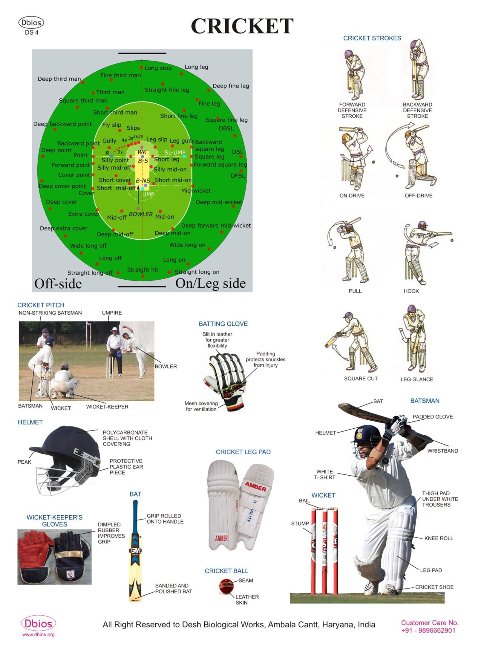 Dbios Digitally Printed Cricket Strokes Laminated Educational Charts