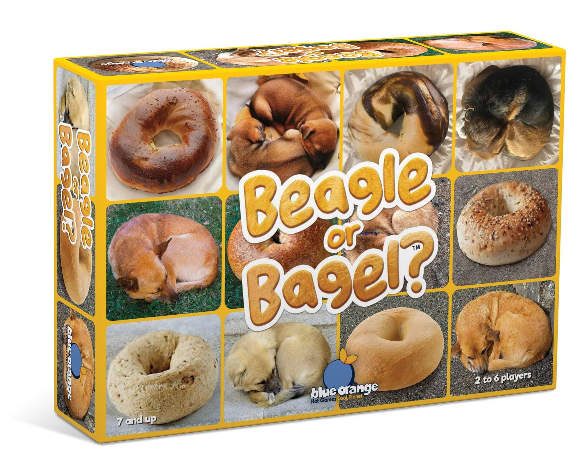 Beagle Or Bagel, Fast-paced Pattern-Recognition Game for Kids and Families, by Blue Orange Games, 2 to 6 Players, Ages 7 and Up