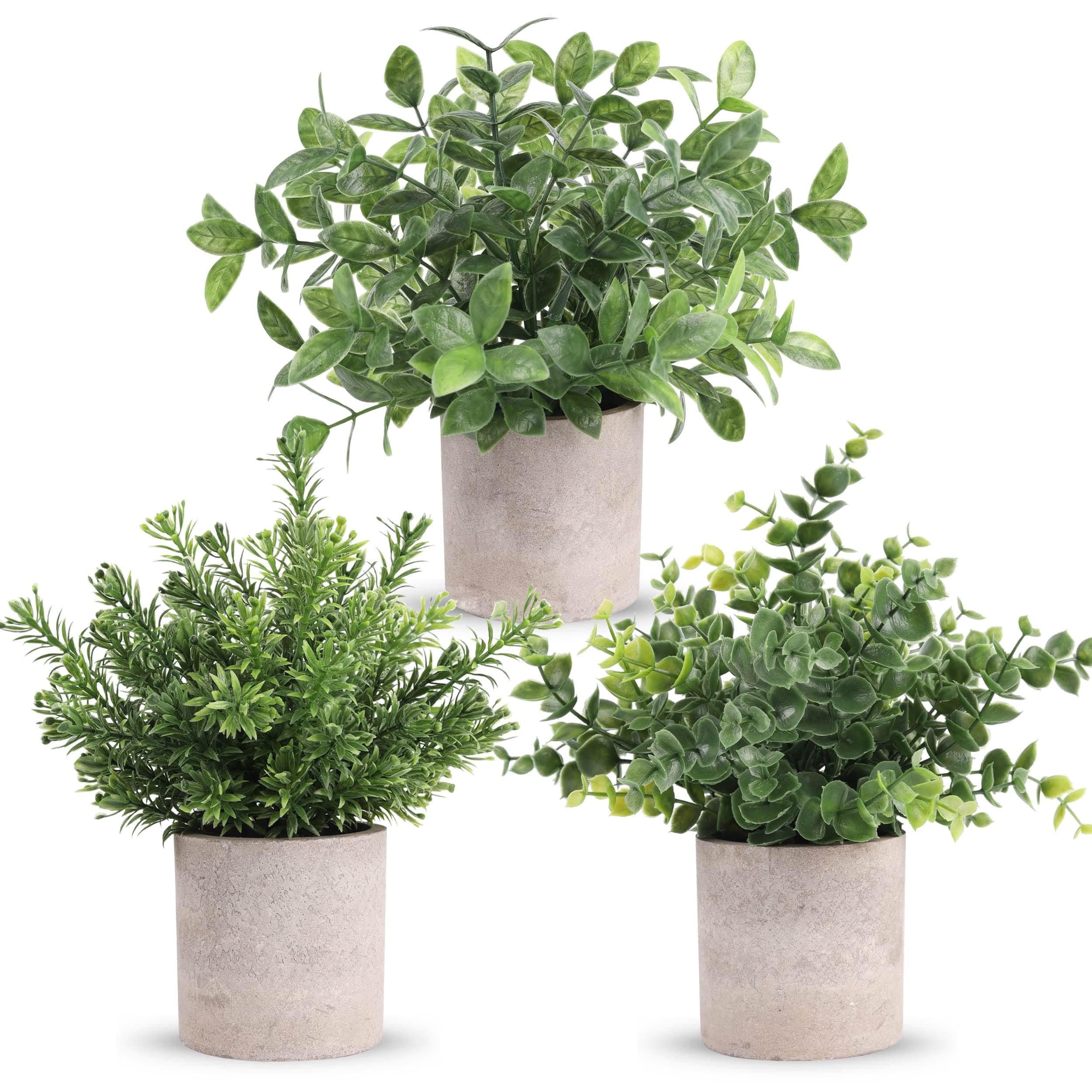 Der Rose 3 Pack Mini Potted Fake Plants Artificial Plastic Eucalyptus Plants Topiaries for Home Office Desk Farmhouse Shelf Room Bathroom Decor(Green)