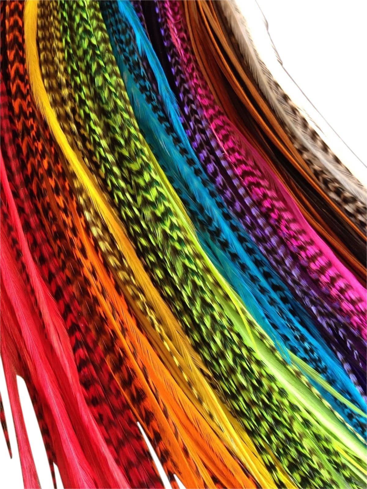 Feather Hair Extensions, 100% Real Rooster Feathers, 100 Long Thin Loose Individual Feathers, By Feather Lily