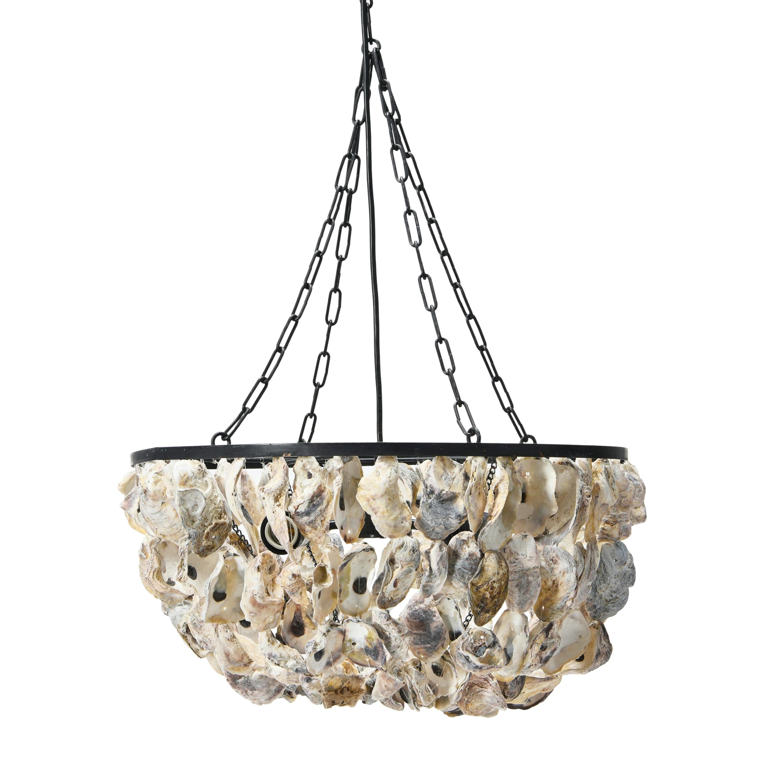 Round Oyster Shell Chandelier with 2 Lights