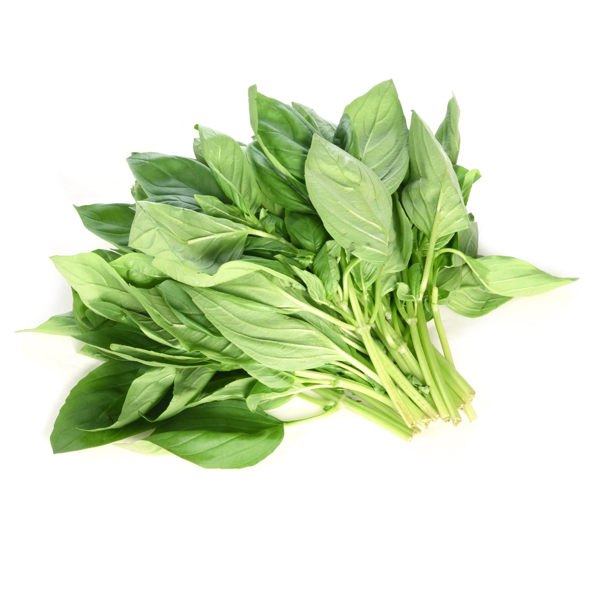 Langmead Herbs Basil 100g