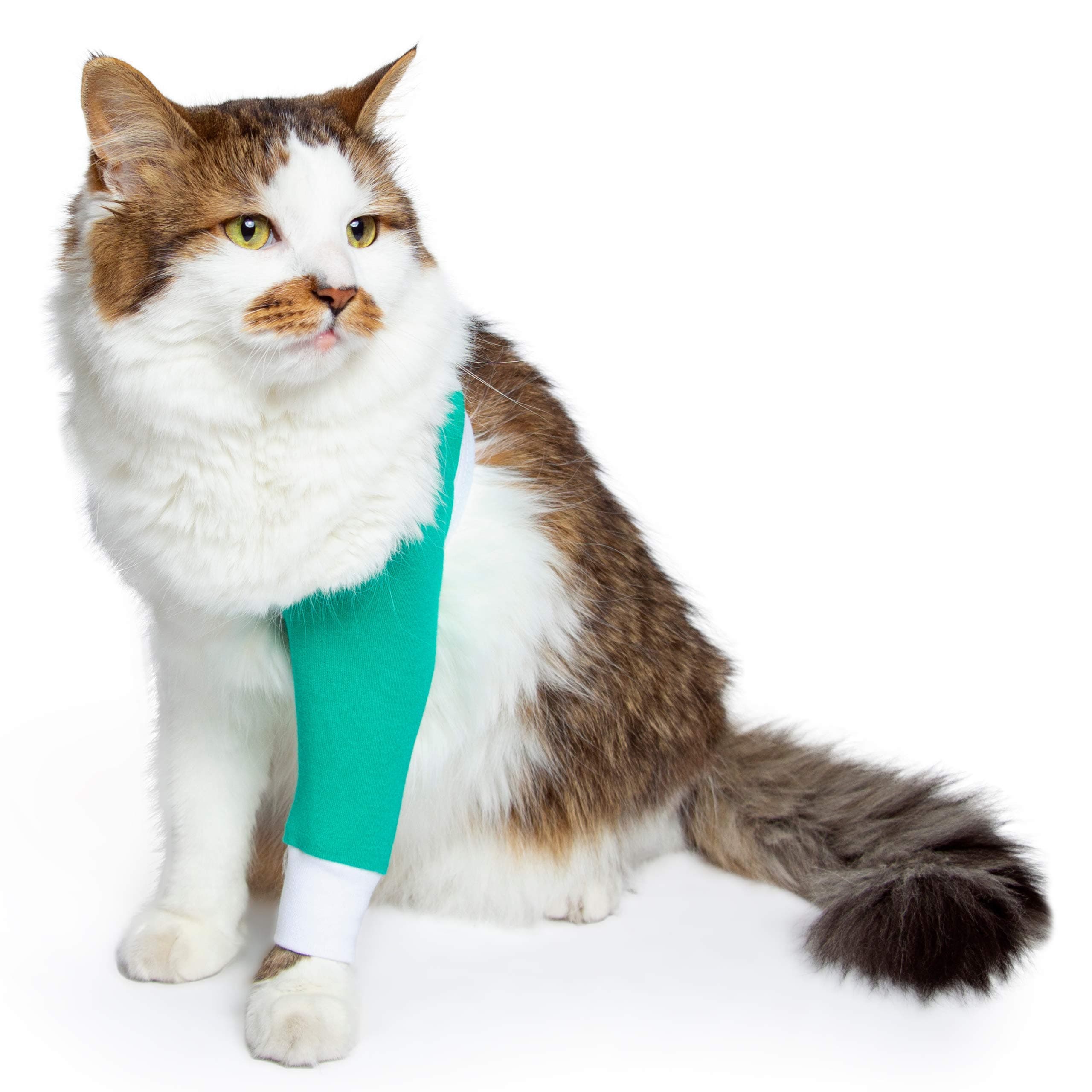 Shoulder Protective Sleeve for Dogs - E-Collar Alternative - After Surgery Wear - for Hot Spots, Wounds, Bandages, and Other Skin Conditions (L - Long Sleeve, Teal Green)