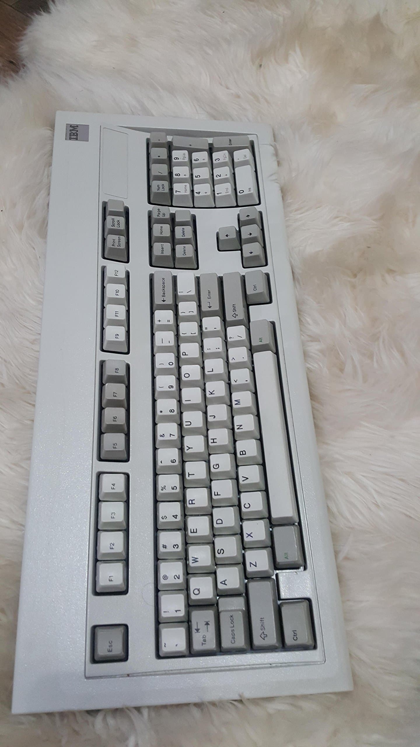 IBM Model M 101-key Keyboard