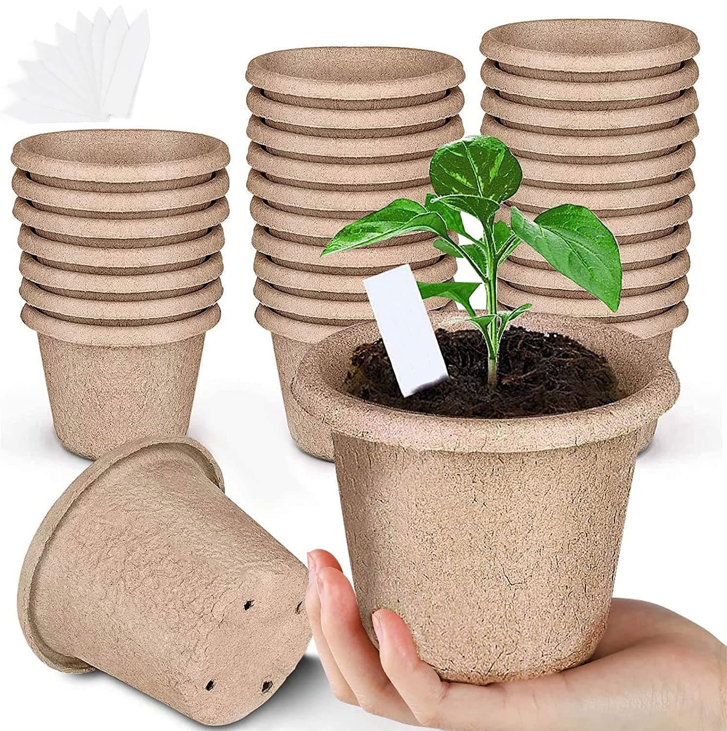 Valuxe 40pcs Peat Pots Plant Starters for Seedling, Biodegradable Herb Seed Starter Pots Kits, Seedling Pots, Garden Germination Nursery Pot for Vegetable Fruit Flower (40 Pack 50 Plastic Markings)