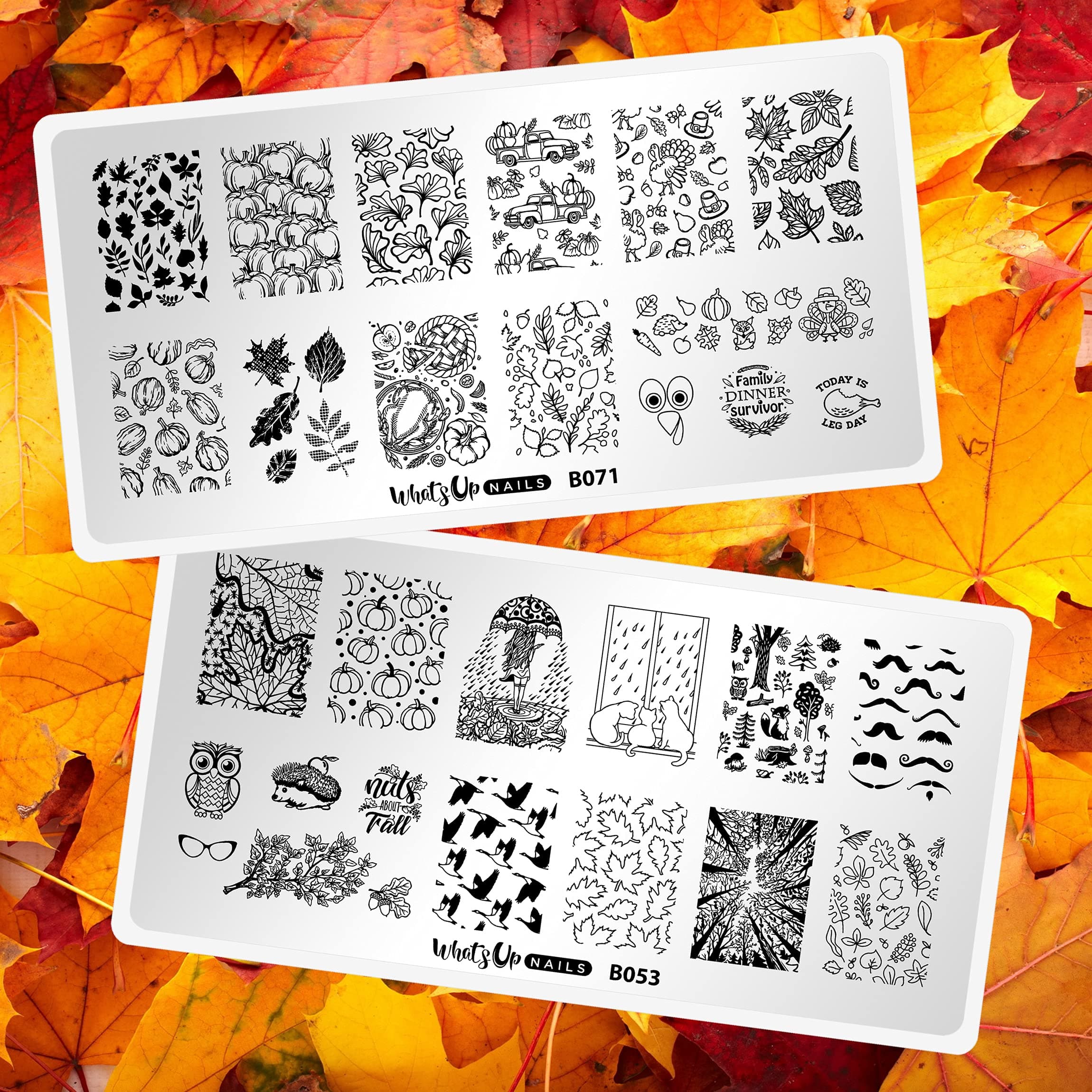 Whats Up Nails - Fall Stamping Plates 2 pack (B053, B071) for Autumn Thanksgiving Day Nail Art Design