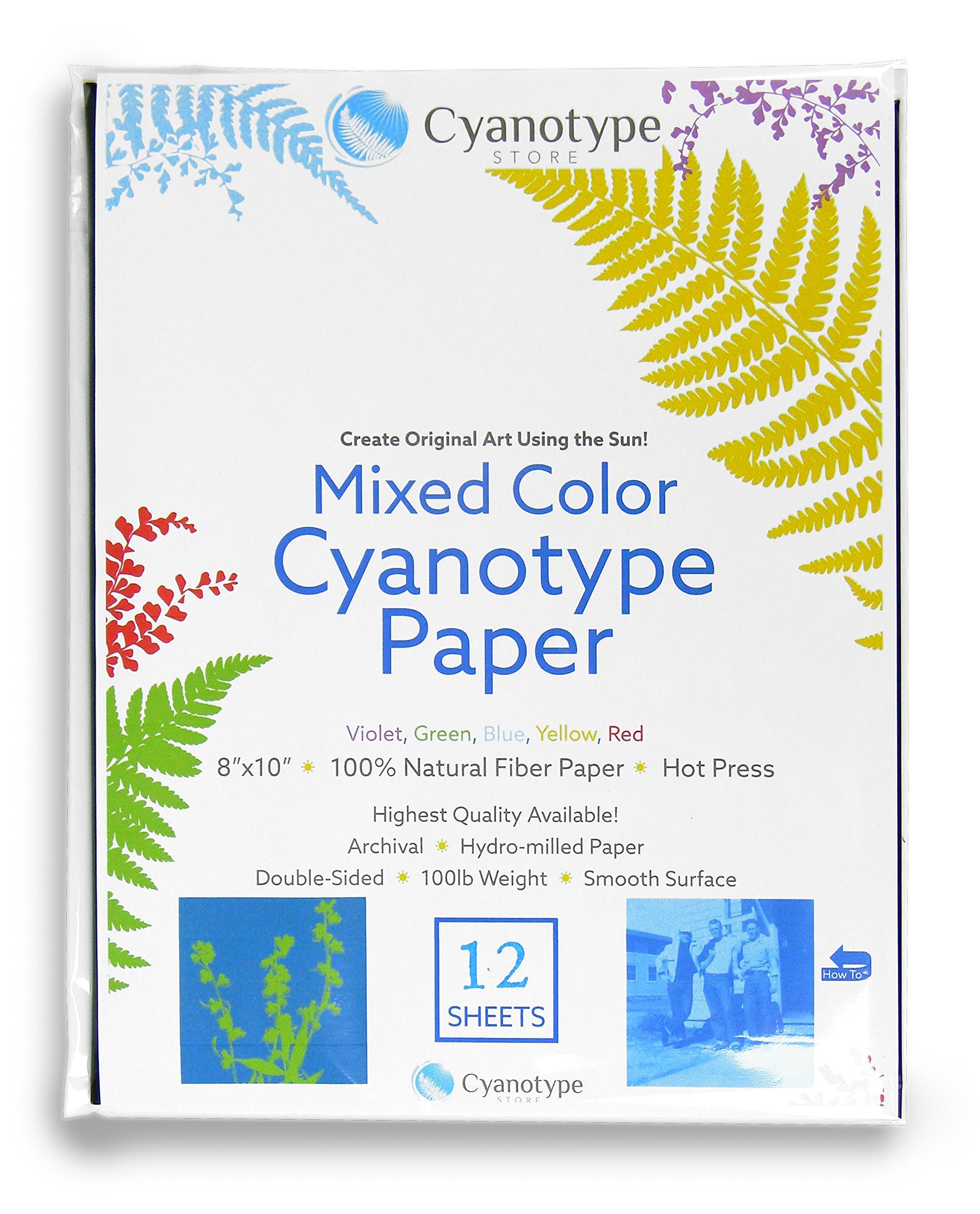 Cyanotype 8" x 10" Paper - 12 Pack (Mixed)