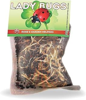 3000 Pre-Fed Live Ladybugs for Aphid Control | Hippodamia Convergens | Mesh Bag (3000)