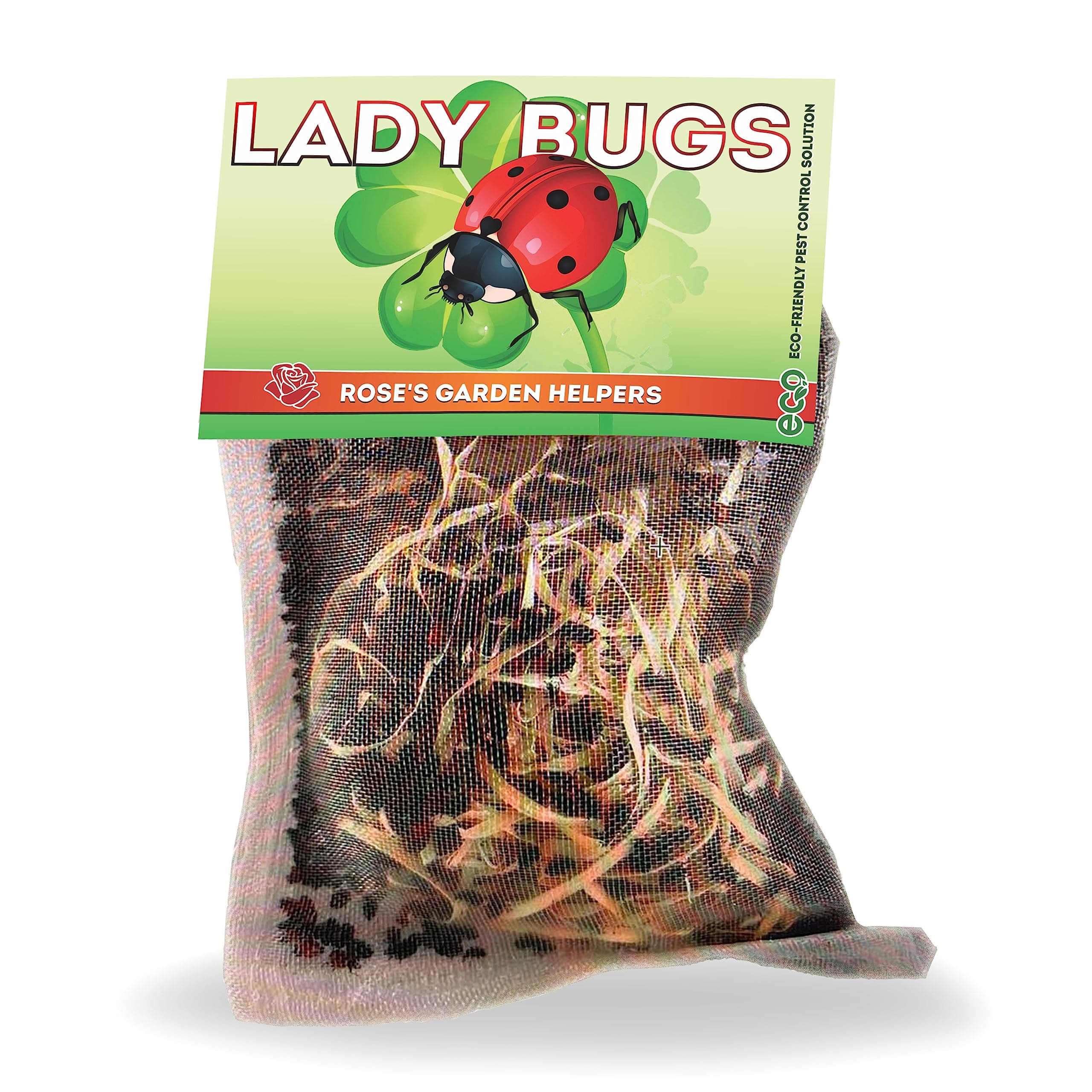 Pre-Fed Live Ladybugs for Aphid Control | Hippodamia Convergens | Mesh Bag (301)