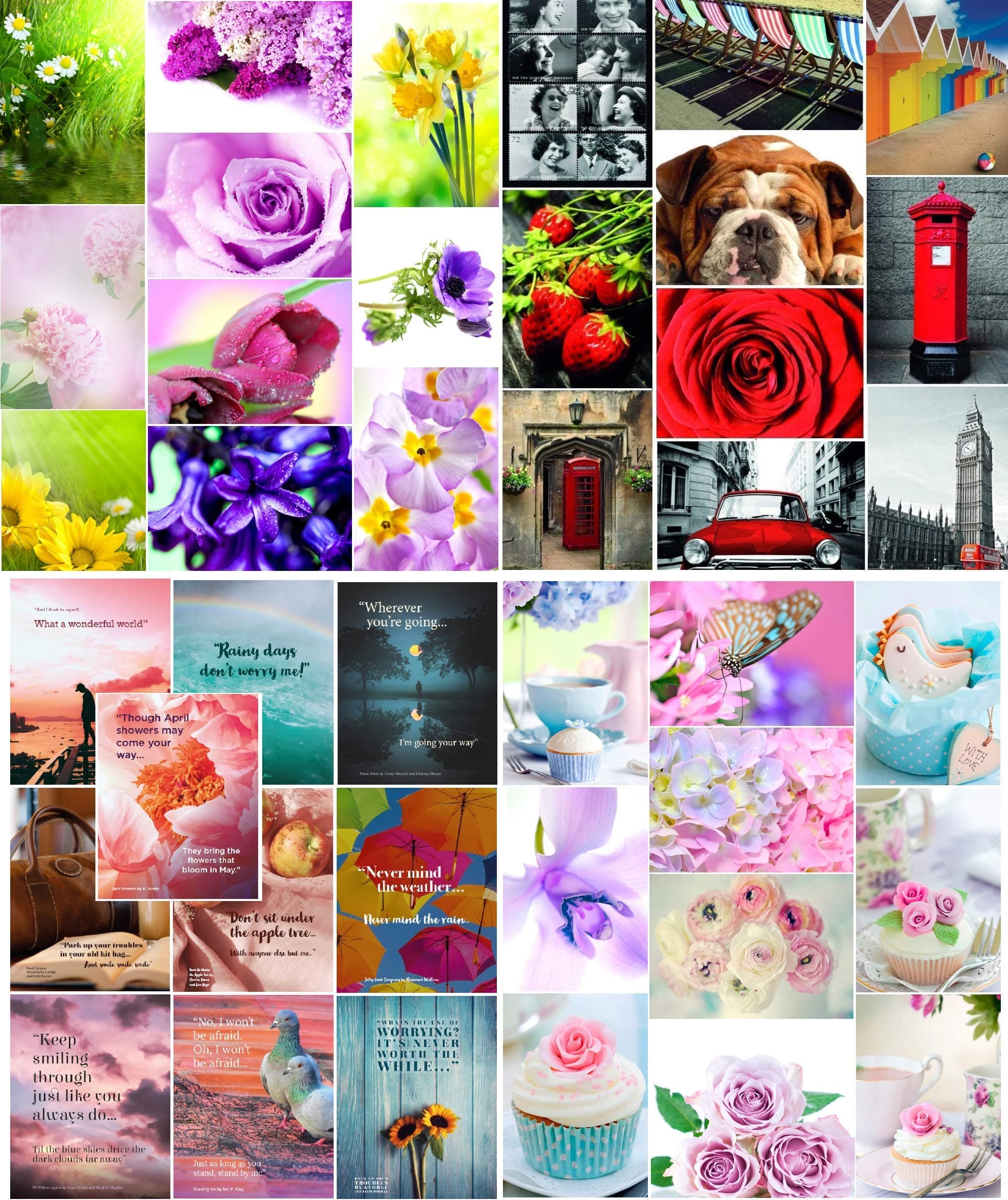 40 Mixed Pack 1 - Postcard Multipack with 40 Different Images (Without Envelope)