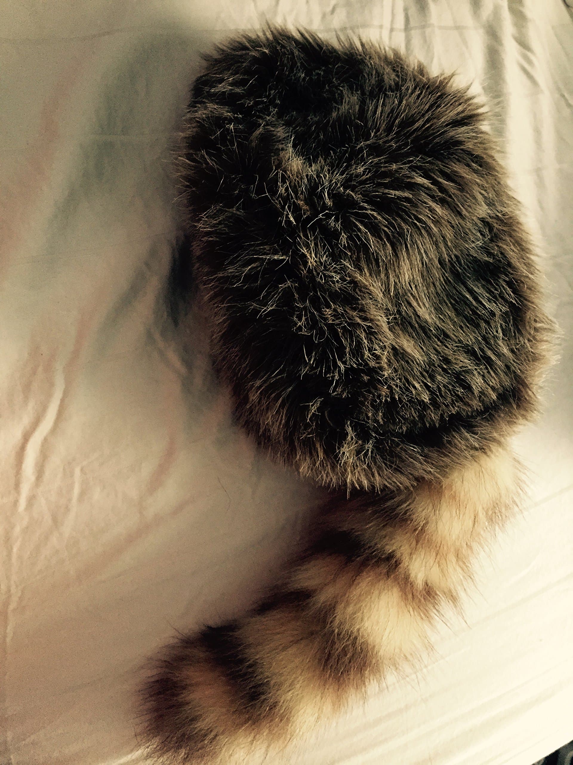 Insider Bat Coonskin Cap, Earth Friendly Coon Tail, Davy Crockett Cap, Racoon Hat