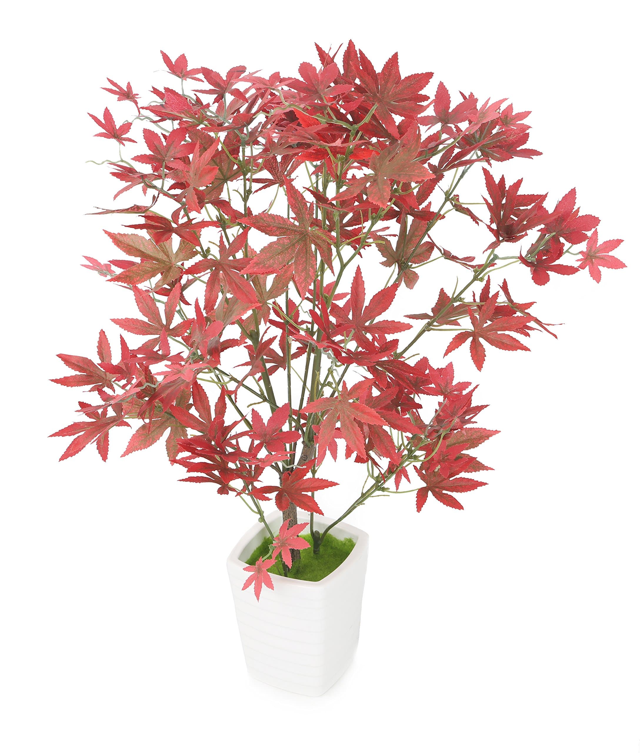 Closer2Nature Artificial 1ft 10" Variegated Red Japanese Maple Tree - Artificial Silk Plant and Tree Range