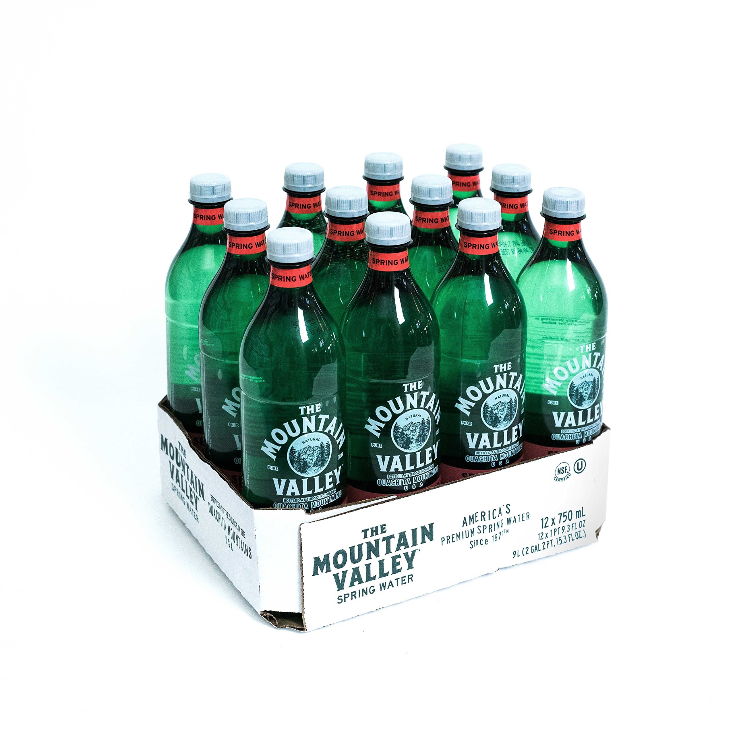 750 ML PET Spring Pack of 12