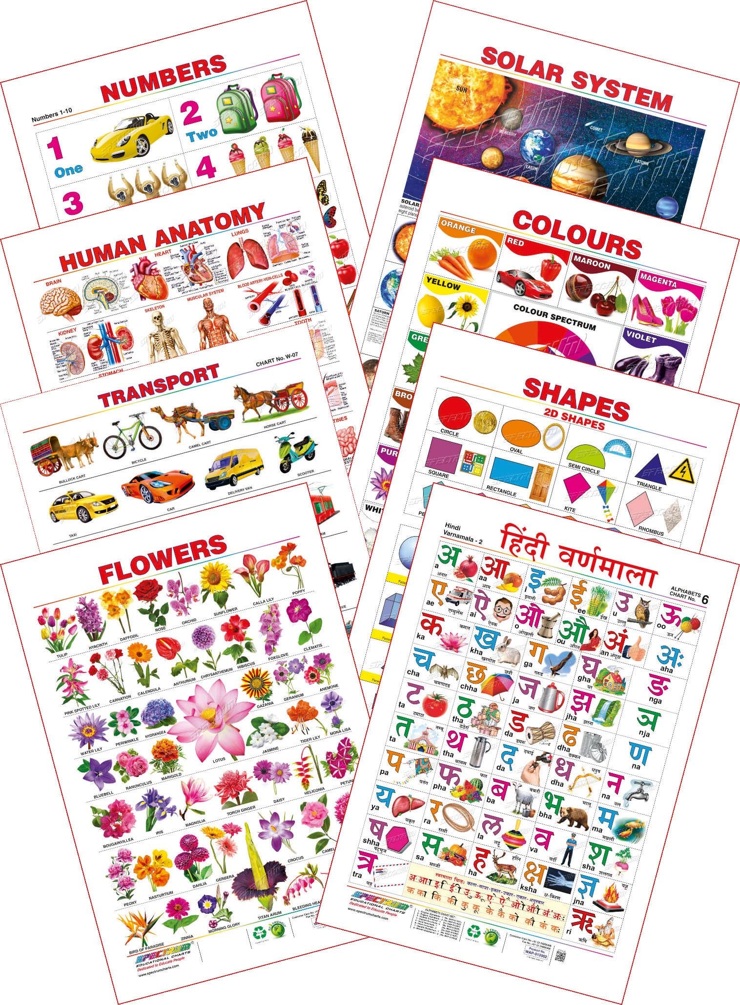 Spectrum Educational Mini Wall Chart (Set of 8) : Set 19 ( Hindi Varnamala , Numbers 1 to 10 , Solar System , Human Anatomy , Colours , Shapes , Transport & Flowers )