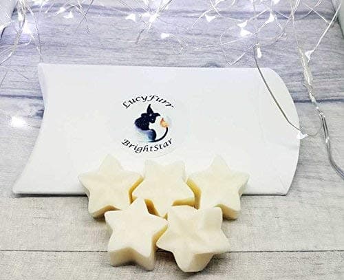 Winter Comforts Handmade Soy Wax Candle Melts