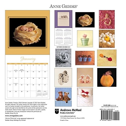 Anne Geddes Timeless 2018 Wall Calendar