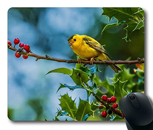 Custom Perfect Mouse Pad with Bird Warbler Twig Berries Non-Slip Neoprene Rubber Standard Size 9 Inch(220mm) X 7 Inch(180mm) X 1/8 Inch(3mm) Desktop Mousepad Laptop Mousepads Comfortable Computer Mouse Mat