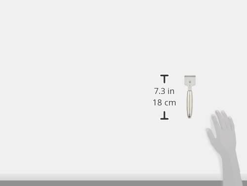 Stellar Hob Scraper, Stainless Steel, Ideal for Ceramic, Halogen or Induction Hobs