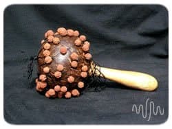 Beaded Coconut Maraca