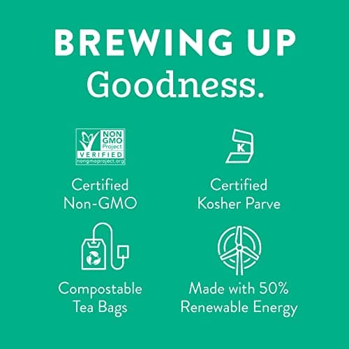 Stash Tea Chocolate Mint Wuyi Oolong Tea - Caffeinated, Non-GMO Project Verified Premium Tea with No Artificial Ingredients, 100 Count (BULK PACKAGING)