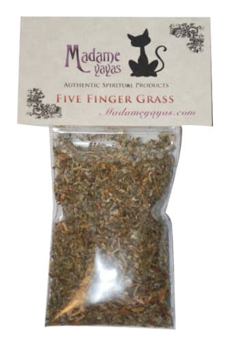 5 Finger Grass (Cinquefoil)