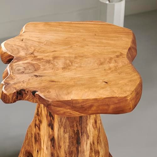 Greenage Cedar Roots Plant Stand Tree Stump End Table 13.5" x 16" x 19" Height Wood Live Edge Side Table for Living Room Bedroom Home Decor Patio Wood End Table