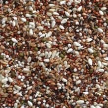 Buckton Pigeon Conditioner 20kg