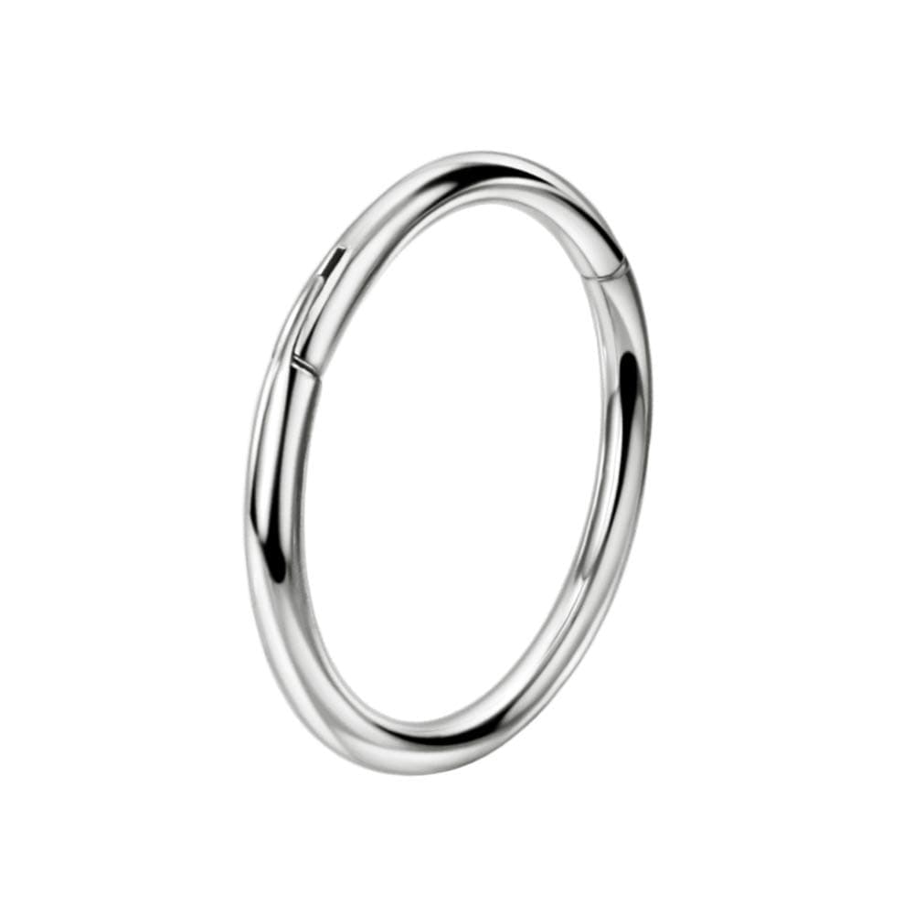 FANSING G23 Titanium Hinged Piercing Rings Hoop