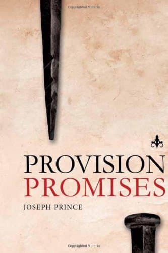 Provision Promises Hardcover – March 5, 2013