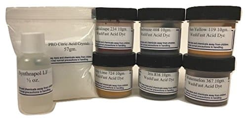 WashFast Summertime Acid Dye Sampler