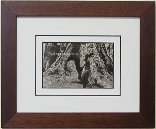 Post Card Frame for 3.5" X 5.5" Post Card Walnut Frame with White (Black Trim) Matting