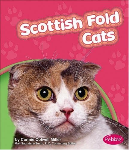 Scottish Fold Cats Library Binding – September 1, 2008