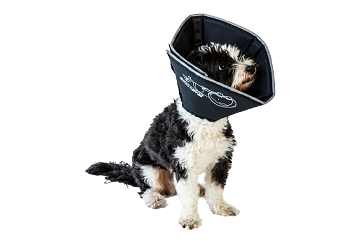 Comfy Cone Pet Cone for Dogs, Cats, Small, Black - Comfortable Soft Dog Cone Collar Alternative for After Surgery, Wound Care, Spay, Neuter - Dog and Cat Recovery Elizabethan-Collar