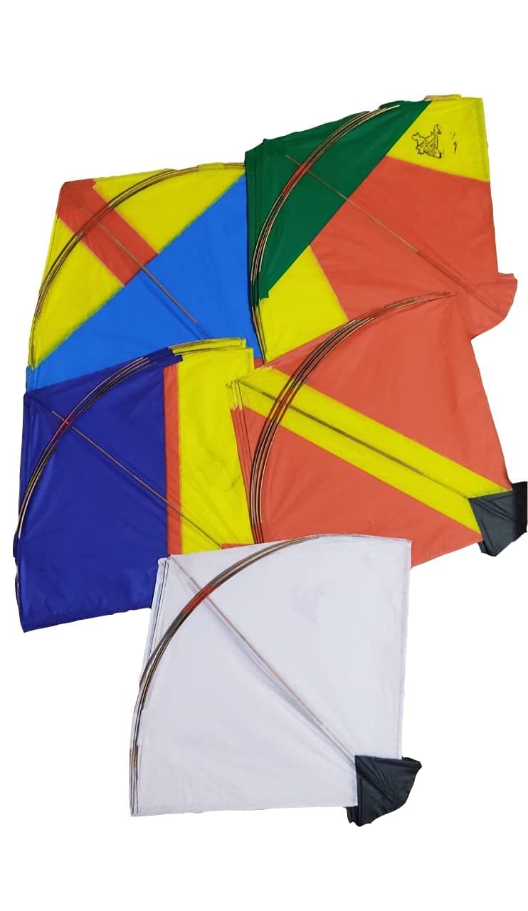 Flying Kites & Wind Spinners for Outdoor Fun, Assorted Colours