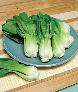 Pak Choy, Also Called Bok Choy 100 Seeds Combo by Seedscare India