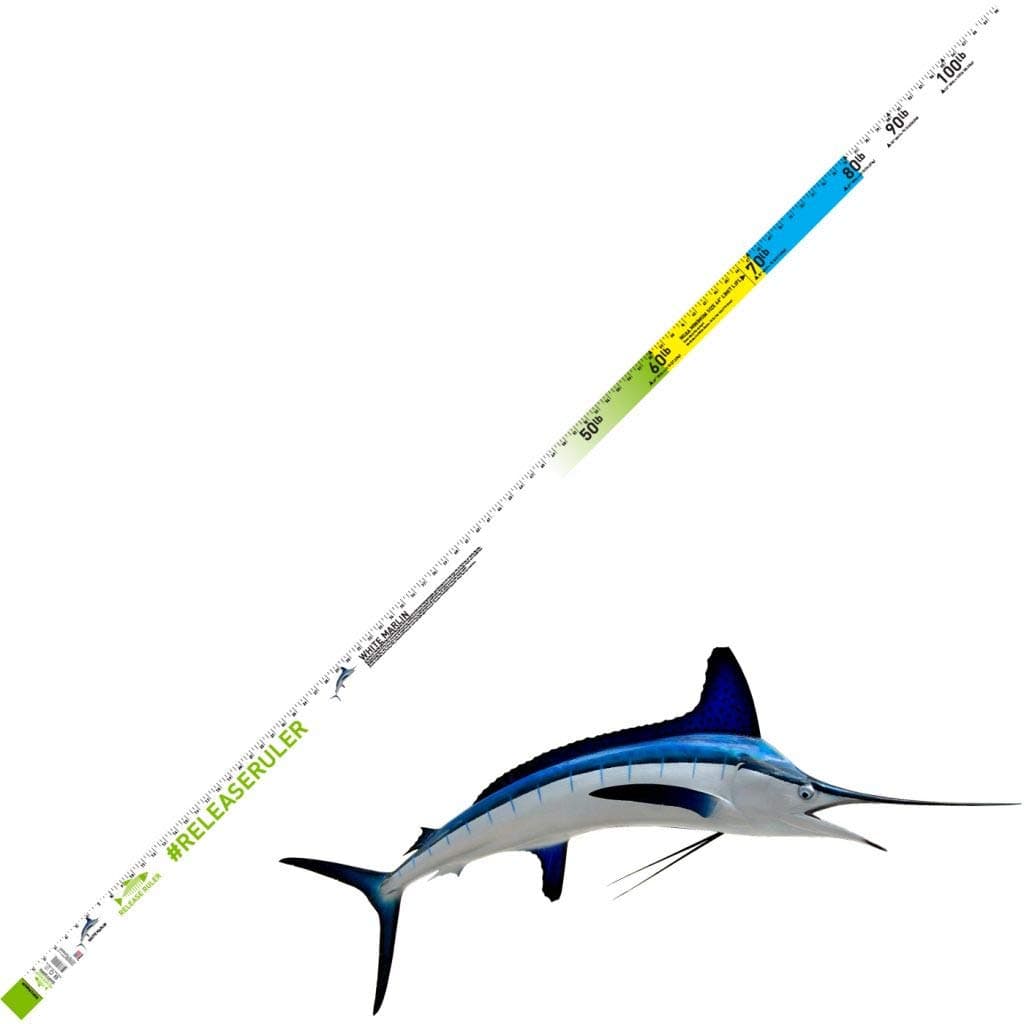 Release Ruler White Marlin