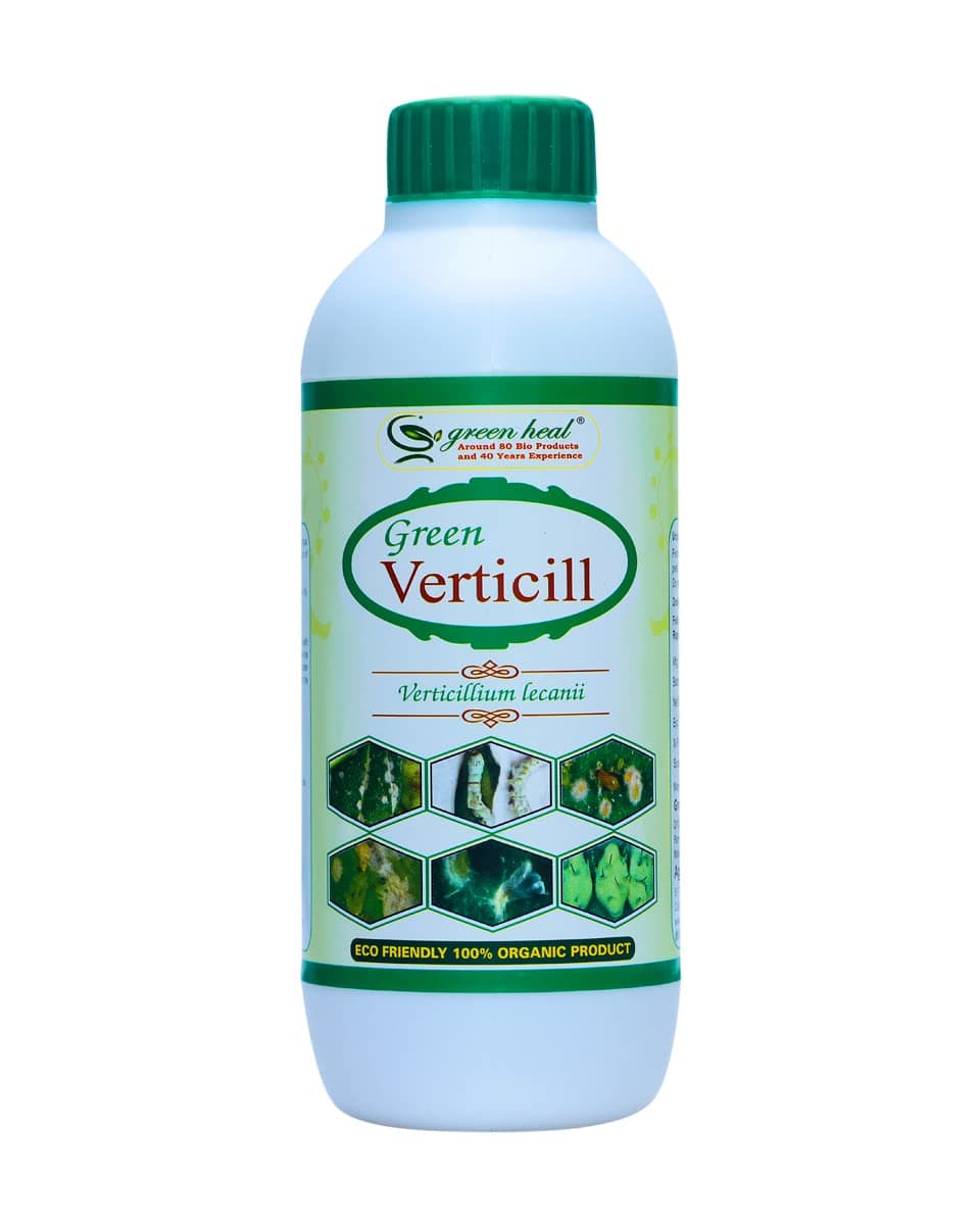 Verticill - Verticillium Lecanii - Quantity : 500ml