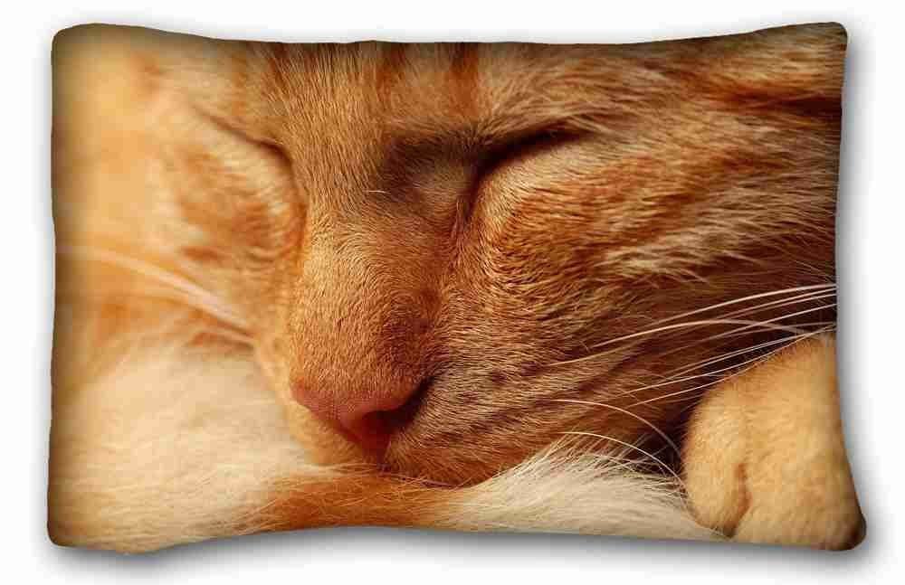 Custom Cotton & Polyester Soft ( Animals cat muzzles sleep eyes red ) Pillow Cushion Case Cover One Sides Printed 20x30 Inches suitable for Twin-bed PC-Purple-32149