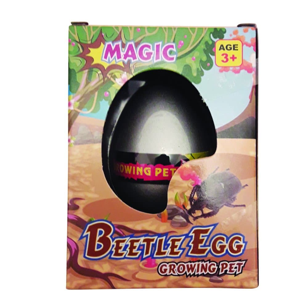 Yo!zor Hatch-em Hatching Beetle Egg Kids Children Magic Growing Pet Toy