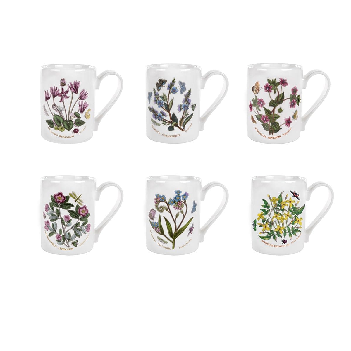 Botanic Garden - 10oz Coffee Mug