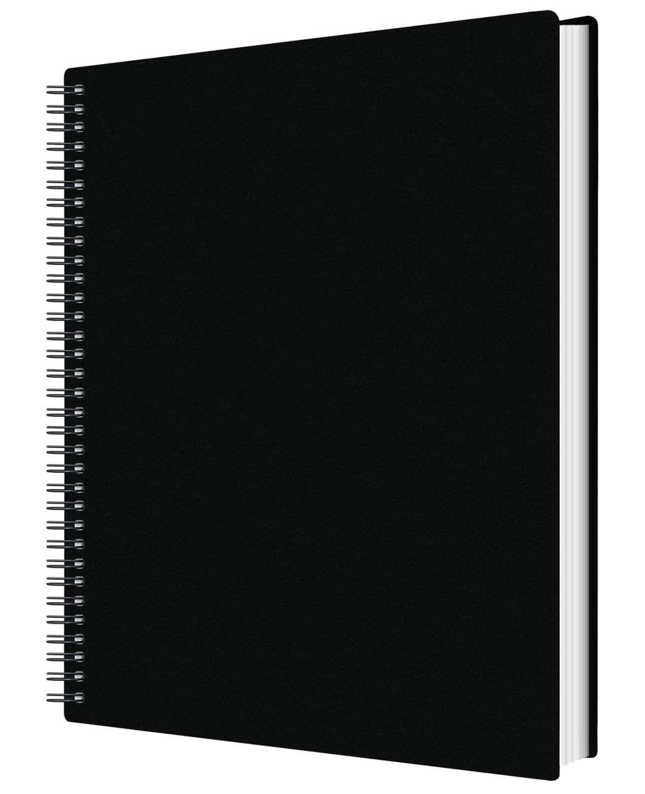 60 Pockets Portfolio Binder with Plastic Sleeves, Presentation Book Display 120 Pages File Folder for Artwork, Sheet Music, Document, Diamond Painting