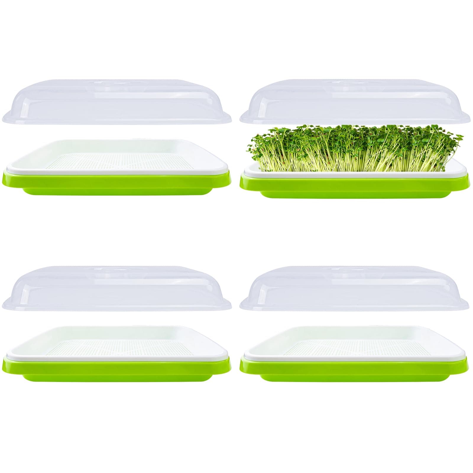 4 Pack Seed Sprouter Tray,32cm x 26cm Large Capacity Sprouting Tray Healthy Hydroponic Propagator with Planting Papers for Mung Beans Alfalfa Wheat Grass Garden (with lids)