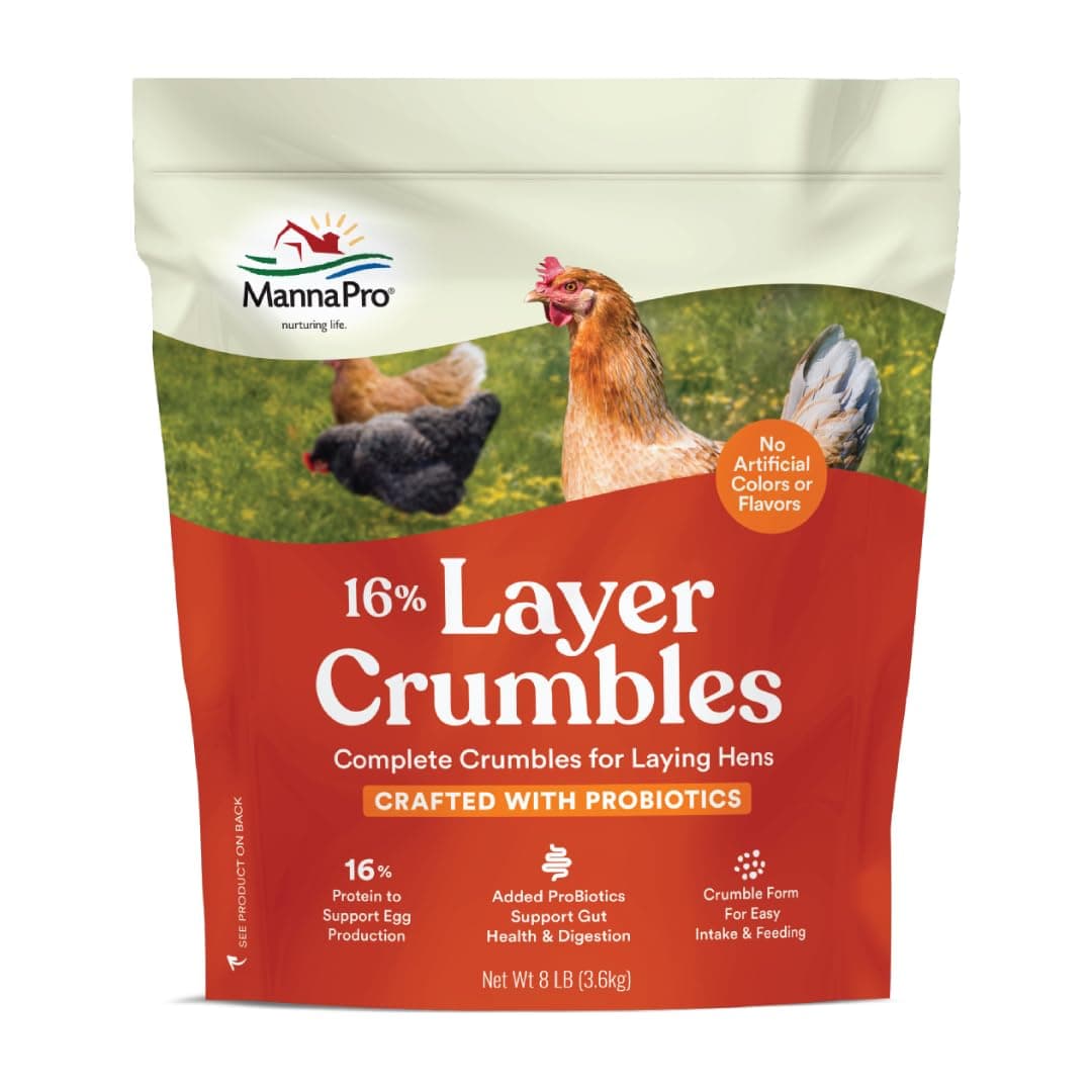 Manna Pro Chicken Feed, 16% Protein Layer Crumbles with Probiotics for Digestive Health, Complete Feed for Laying Hens to Support Egg Production, Nutrient-Rich Chicken Food, Made in USA, 8 lb Bag