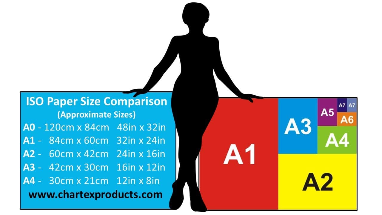 Ltd Weight Training Exercise Chart Series (A1 Laminated, All Muscle Groups)