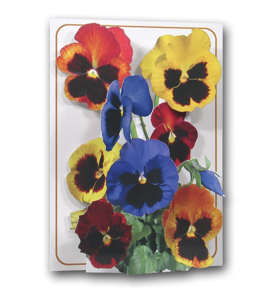 Pansies - a 3D Pop Up Greeting Card - from