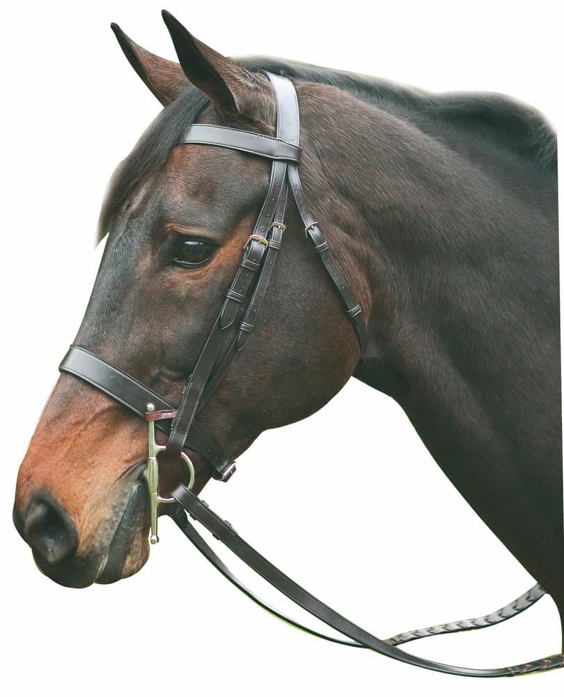 Henri de RivelPro Hunt Bridle