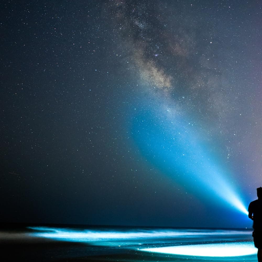 MagLite ML50L LED Flashlight