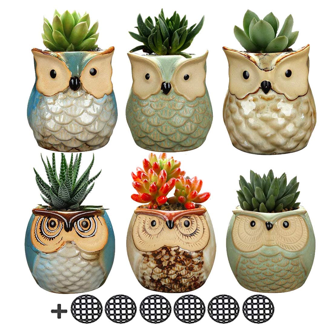 2.5" Ceramic Owl Succulent Planter Pot Set with Drainage Hole mesh pad, SIPAOU Mini Cactus Succulent Plant Pot, Home and Office Decoration Desktop Windowsill Bonsai Pots Gift for Gardener - Set of 6